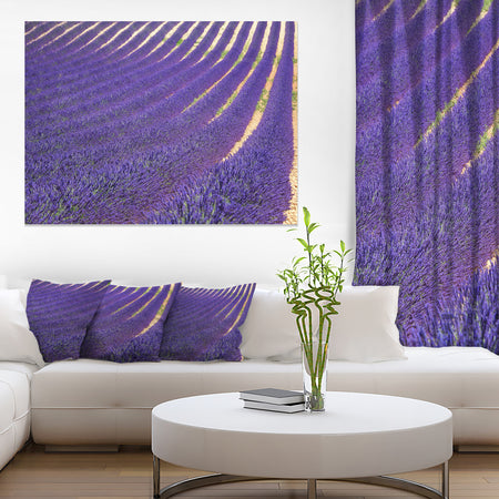 Lavender Blooming Fields as Texture - Oversized Landscape Wall Art Print