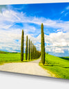 White Road through Cypress Trees - Oversized Landscape Wall Art Print