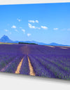 Lavender Blooming Fields and Trees - Oversized Landscape Wall Art Print