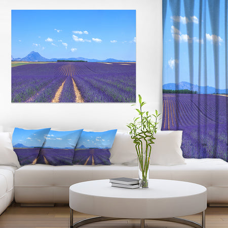 Lavender Blooming Fields and Trees - Oversized Landscape Wall Art Print