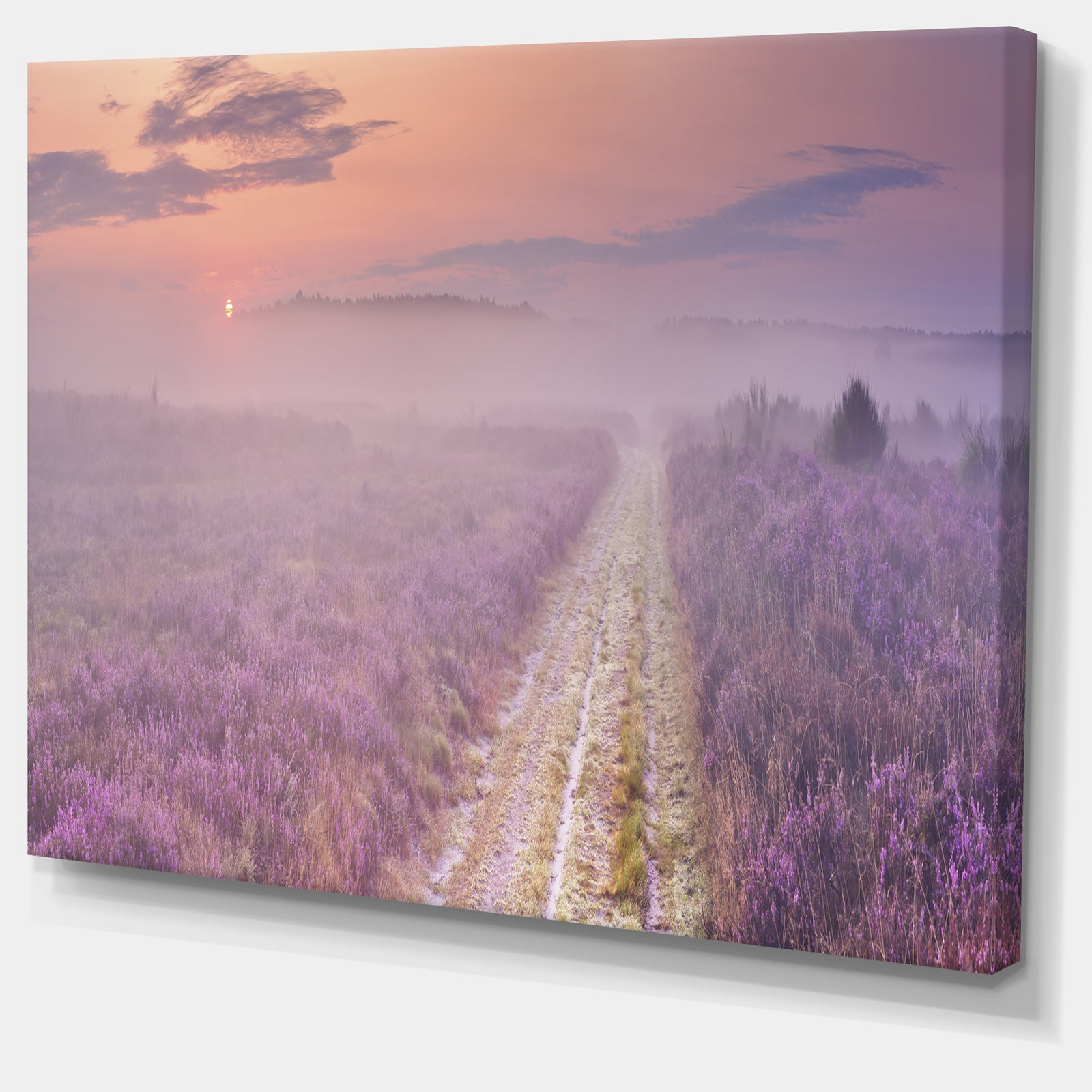 Path through Blooming Heather - Landscape Art Canvas Print
