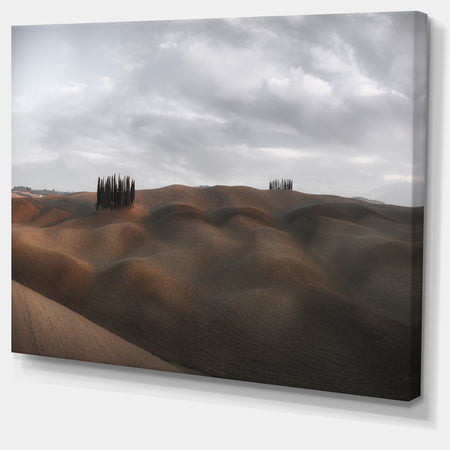 Cypress Grove at the Field Panorama - Landscape Art Canvas Print