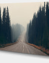 Foggy Road in Forest in Banff Park - Modern Seascape Canvas Artwork