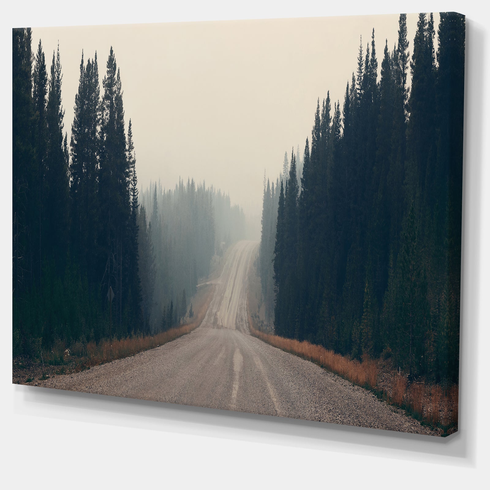 Foggy Road in Forest in Banff Park - Modern Seascape Canvas Artwork