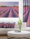 Lavender Flower Rows in France - Landscape Art Canvas Print