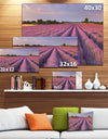 Lavender Flower Rows in France - Landscape Art Canvas Print