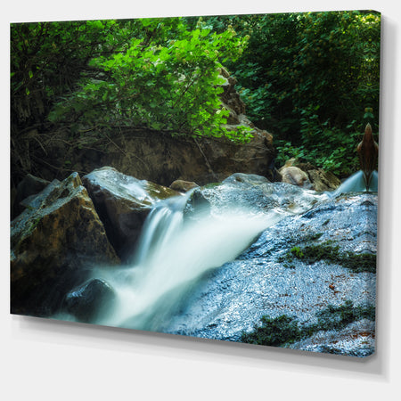 Water Slide over the Moss - Landscape Art Canvas Print