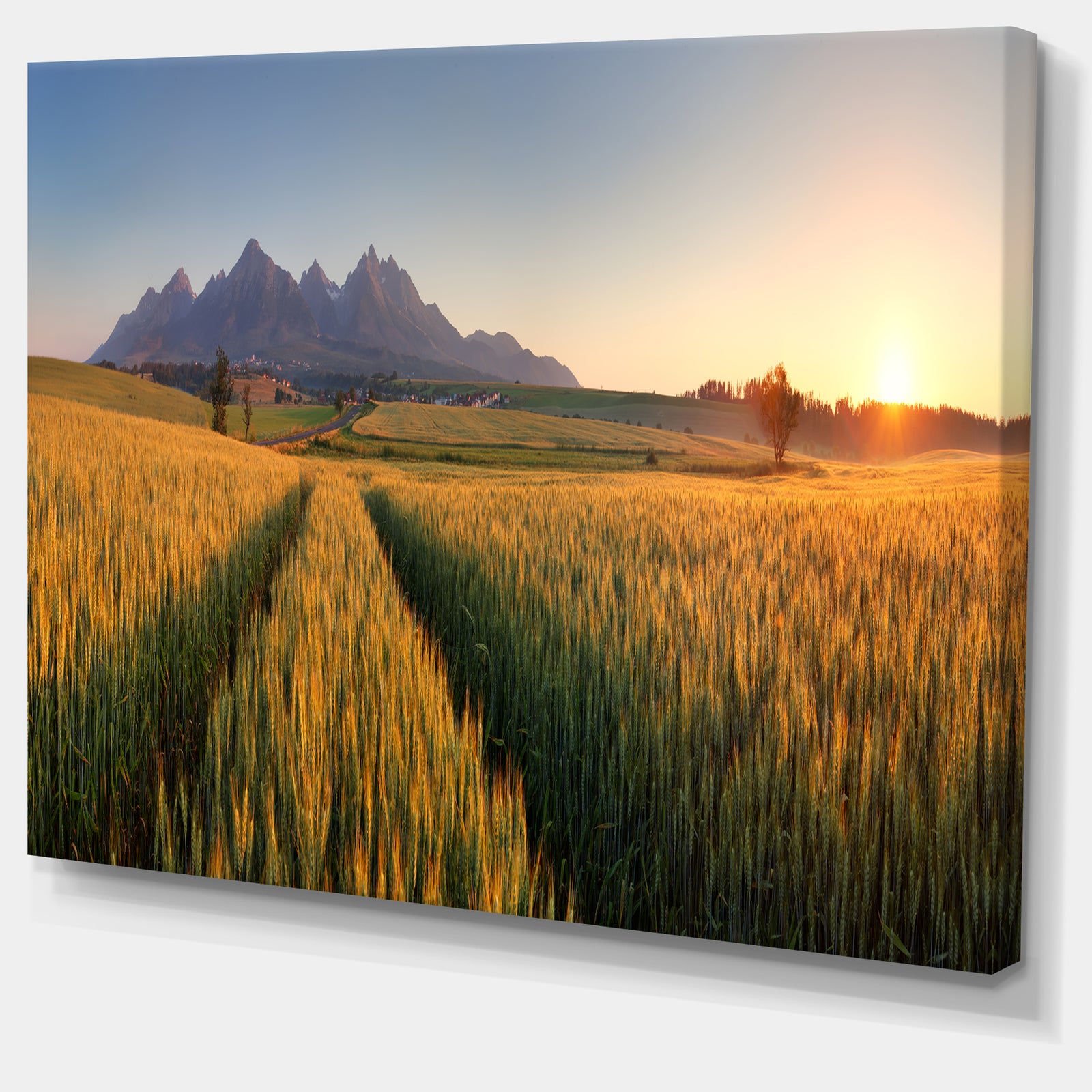 Summer Wheat Fields Slovakia - Landscape Artwork Canvas