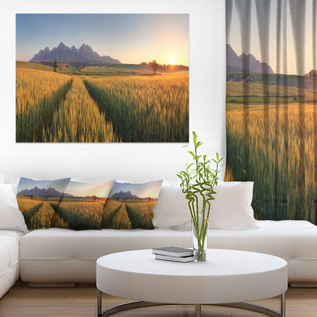Summer Wheat Fields Slovakia - Landscape Artwork Canvas
