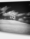 Lonely Tree on Meadow Black White - Landscape Artwork Canvas