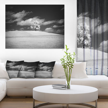 Lonely Tree on Meadow Black White - Landscape Artwork Canvas