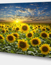 Field of Blooming Sunflowers - Large Flower Canvas Wall Art