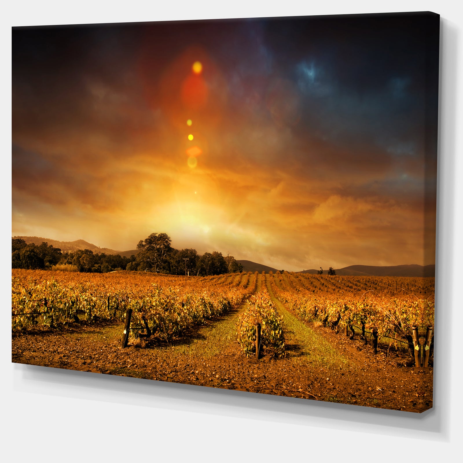 Yellow Autumn Vineyard Sunset - Landscape Artwork Canvas