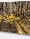 Majestic Autumn Forest Panorama - Landscape Artwork Canvas