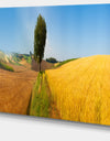 Tuscany Wheat Field Hill Panorama - Landscape Artwork Canvas