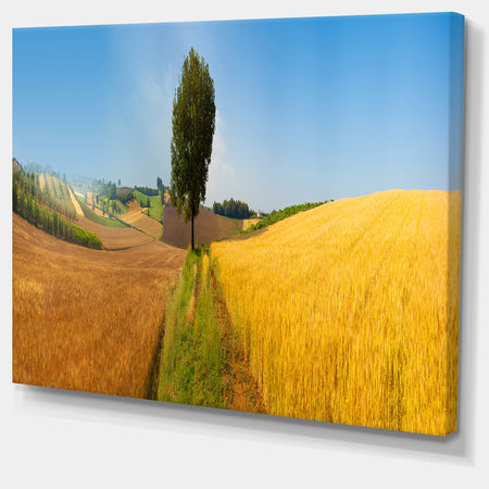 Tuscany Wheat Field Hill Panorama - Landscape Artwork Canvas