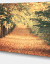 Autumn Forest with Walking Path - Modern Forest Canvas Wall Art