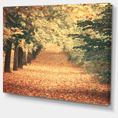 Autumn Forest with Walking Path - Modern Forest Canvas Wall Art