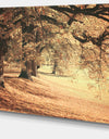 Dreamy Imagery of Autumn Forest - Modern Forest Canvas Art