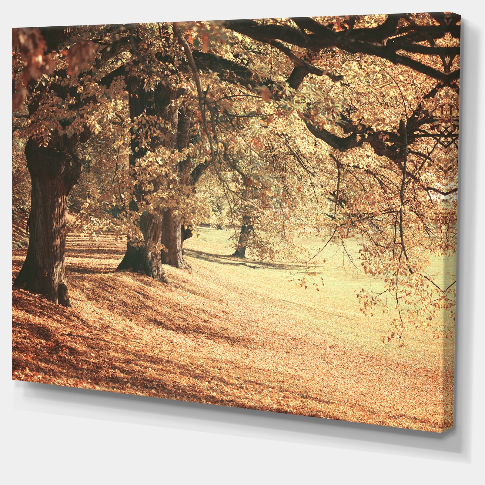 Dreamy Imagery of Autumn Forest - Modern Forest Canvas Art