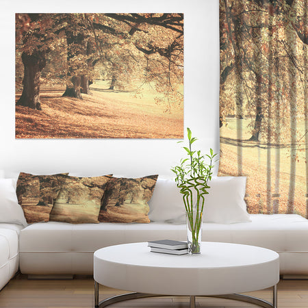 Dreamy Imagery of Autumn Forest - Modern Forest Canvas Art