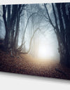 Magical Trees in Mysterious Forest - Modern Forest Canvas Wall Art