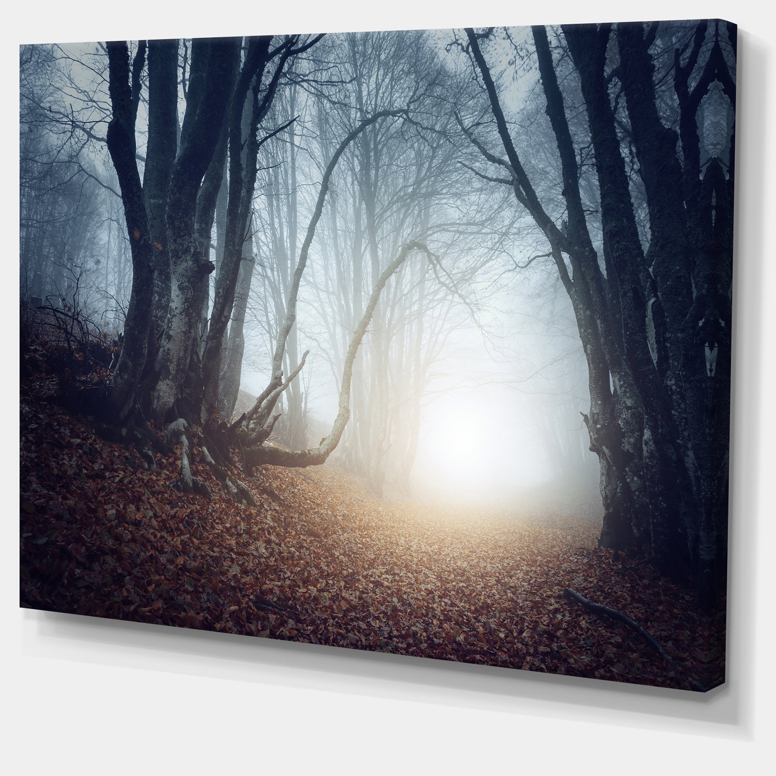 Magical Trees in Mysterious Forest - Modern Forest Canvas Wall Art