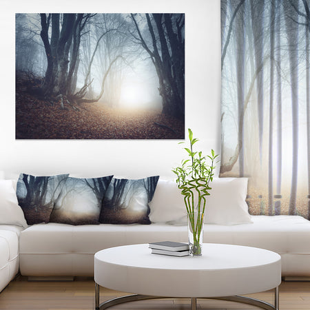 Magical Trees in Mysterious Forest - Modern Forest Canvas Wall Art