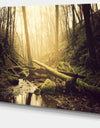 Stream in the Dark Wild Forest - Large Forest Wall Art Canvas