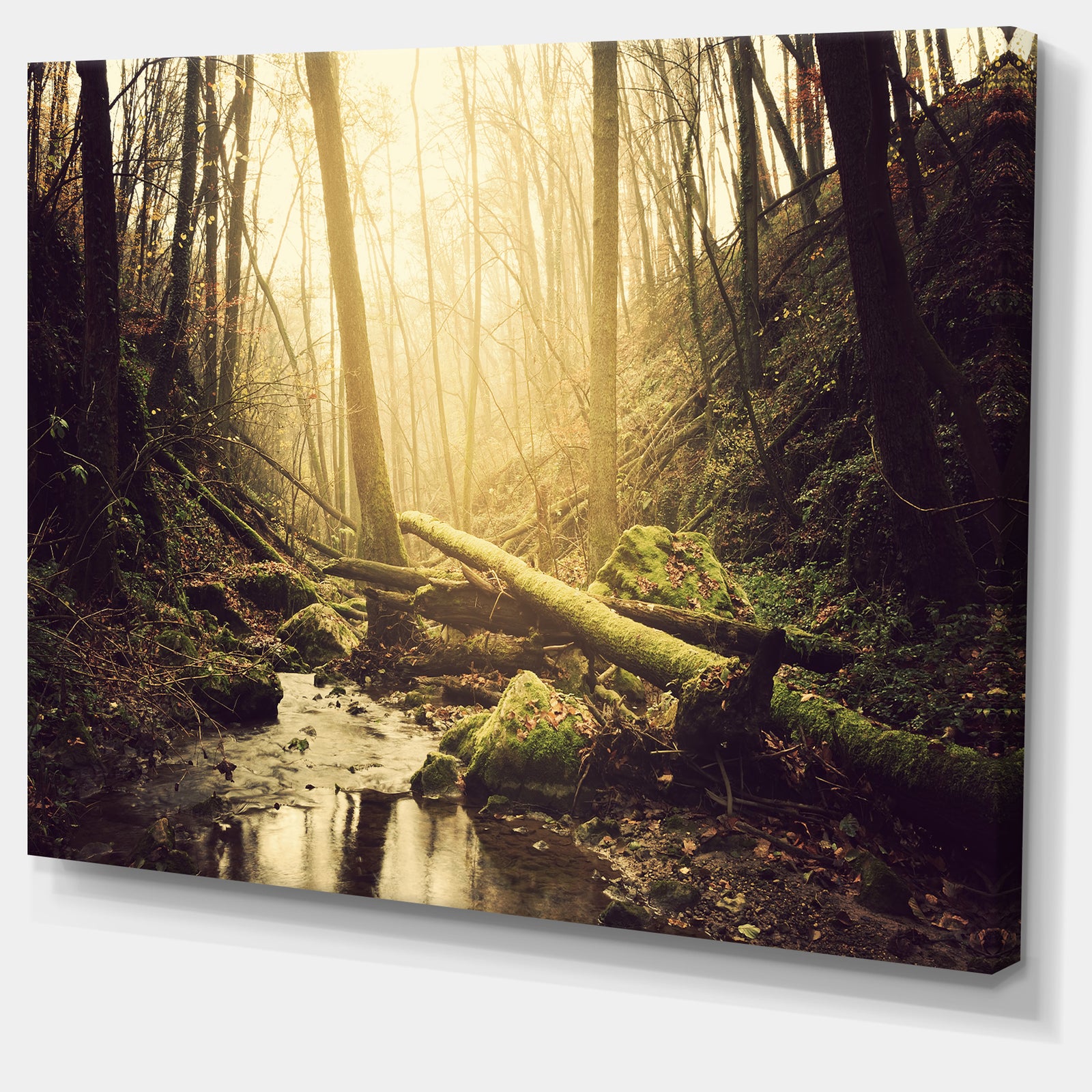 Stream in the Dark Wild Forest - Large Forest Wall Art Canvas