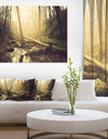 Stream in the Dark Wild Forest - Large Forest Wall Art Canvas