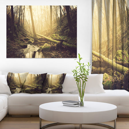 Stream in the Dark Wild Forest - Large Forest Wall Art Canvas