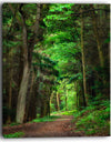 Dreamy Greenery in Dense Forest - Large Forest Wall Art Canvas