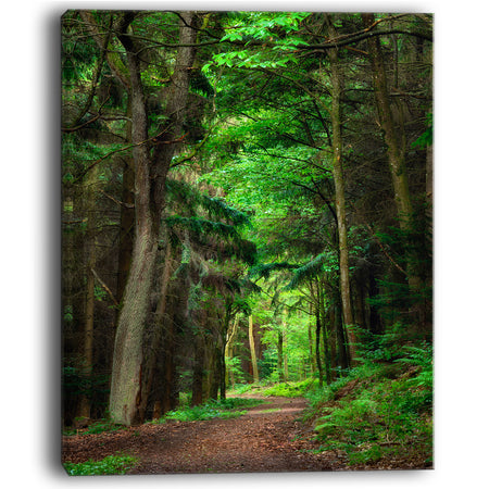 Dreamy Greenery in Dense Forest - Large Forest Wall Art Canvas