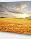 Expansive Brown Field - Landscape Wall Art Canvas