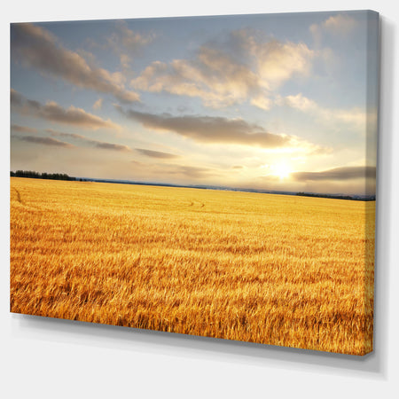 Expansive Brown Field - Landscape Wall Art Canvas