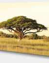 Acacia Tree on African Plain - Oversized African Landscape Canvas Art