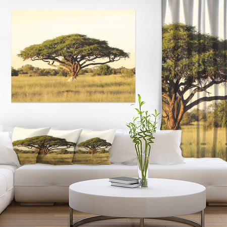 Acacia Tree on African Plain - Oversized African Landscape Canvas Art