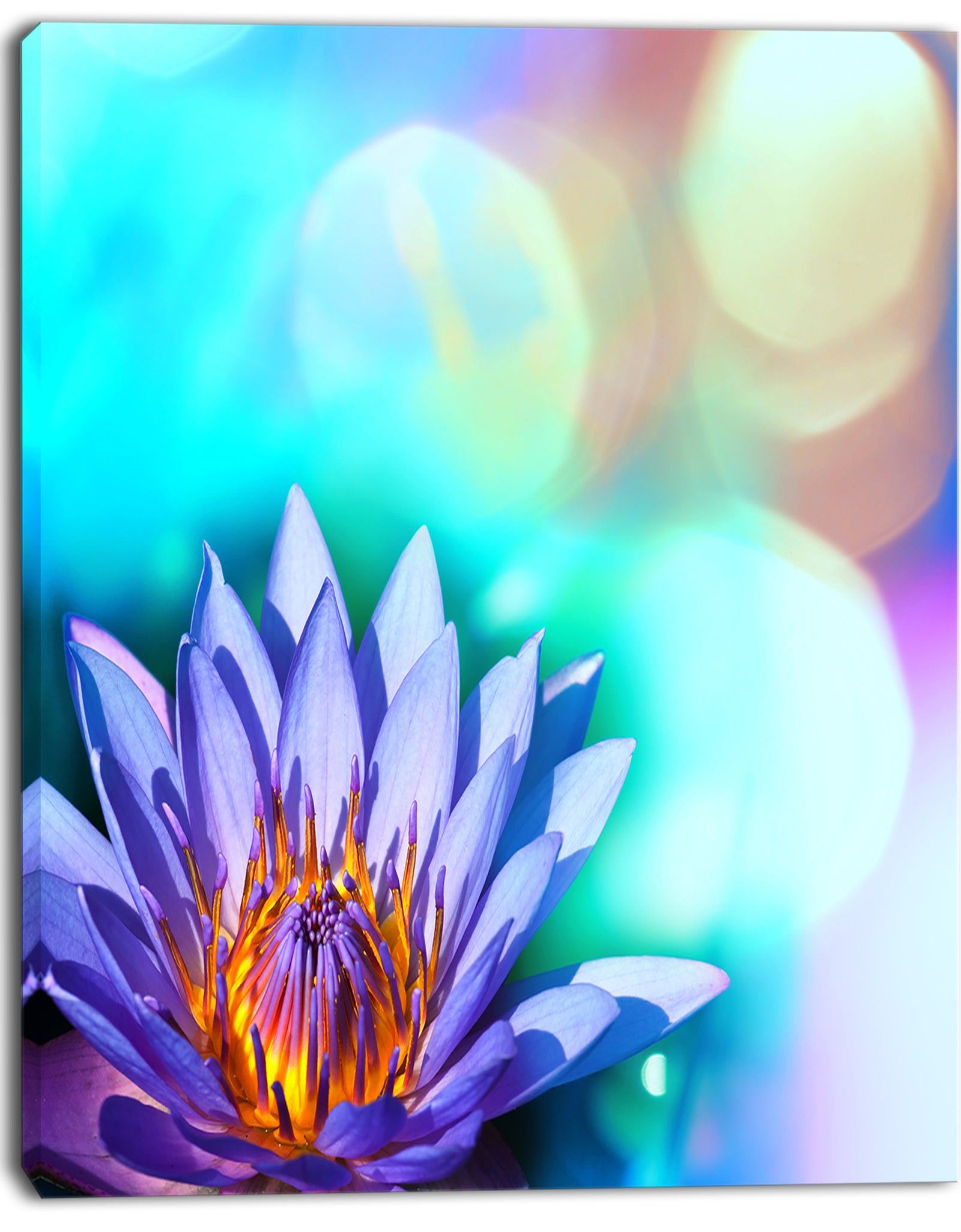 Blossoming Purple Lotus Flower - Floral Canvas Art Print