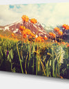 Fantastic Yellow Flowers in Meadow - Large Flower Canvas Wall Art