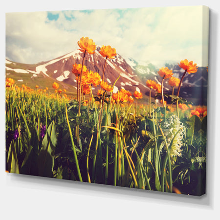 Fantastic Yellow Flowers in Meadow - Large Flower Canvas Wall Art