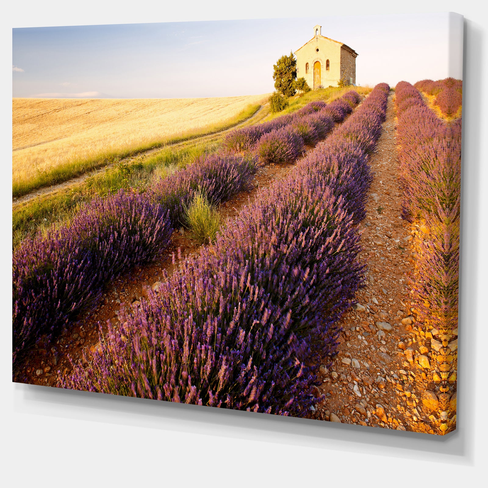 Chapel with Lavender and Grain Field - Large Flower Canvas Wall Art