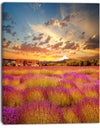 Majestic Lavender Field At Sunset - Large Floral Canvas Art Print