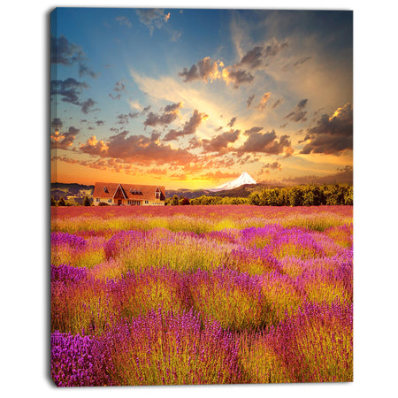 Majestic Lavender Field At Sunset - Large Floral Canvas Art Print