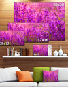 Bright Purple Lavender Field Tihany - Large Floral Canvas Art Print