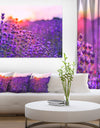 Summer Sunset over Lavender Field - Large Floral Canvas Art Print