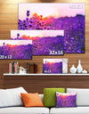 Summer Sunset over Lavender Field - Large Floral Canvas Art Print