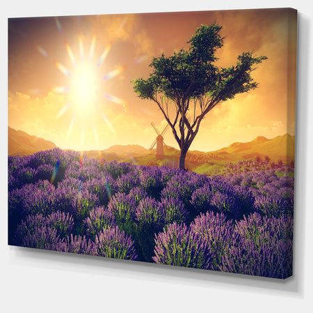 Lavender Field with Solitary Tree - Extra Large Landscape Canvas Art
