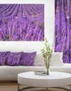 Beautiful Fragrant Lavender Fields - Large Floral Canvas Art Print