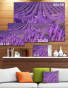 Beautiful Fragrant Lavender Fields - Large Floral Canvas Art Print